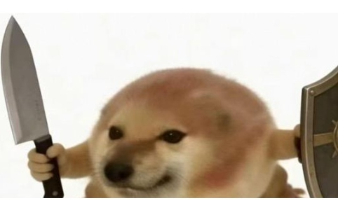 3月最火meme币“我的刀盾”引爆Solana生态