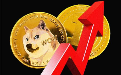 迷因币链上数据揭示持有者忠诚度与市场韧性