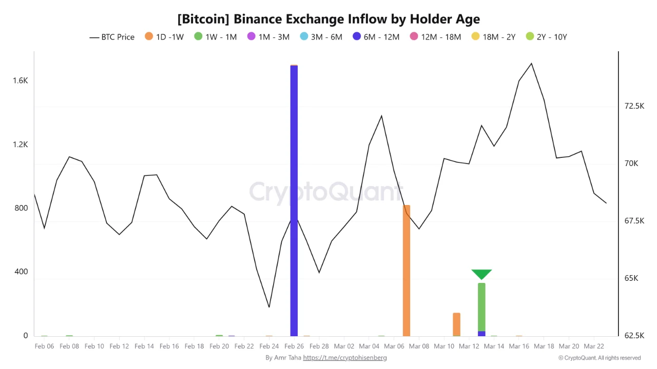短期持有者资金流入图