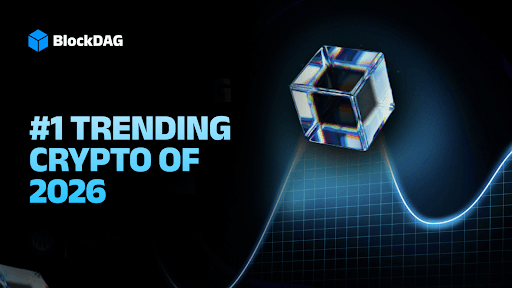 BlockDAG主网性能与交易数据