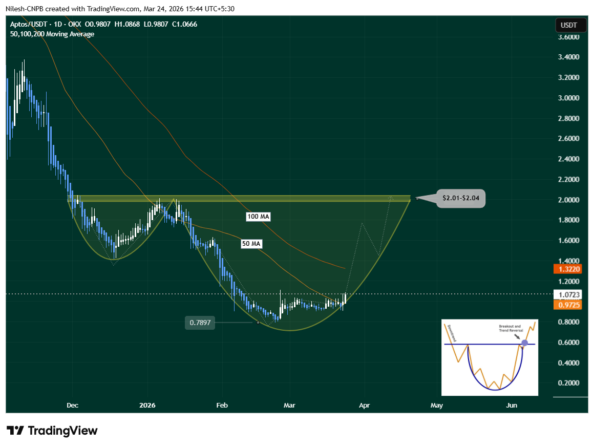 APT日线图圆底形态