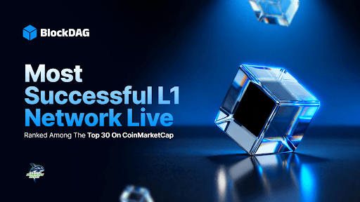 BlockDAG生态系统进展图