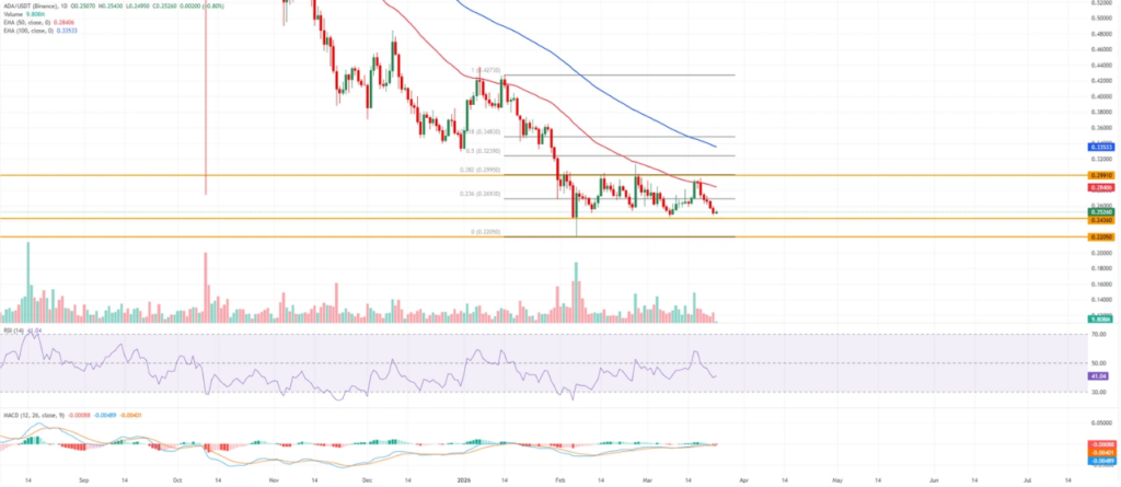卡尔达诺承压0.25美元：地缘风险与衍生品数据共筑看跌格局