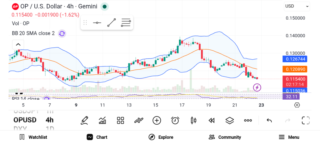 Optimism网络结构图