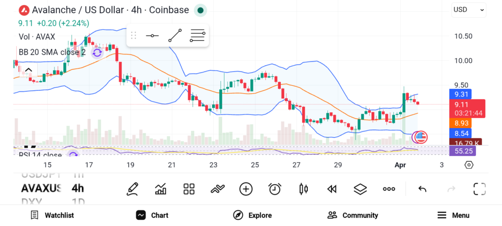三只高潜力山寨币：链上应用驱动长期价值