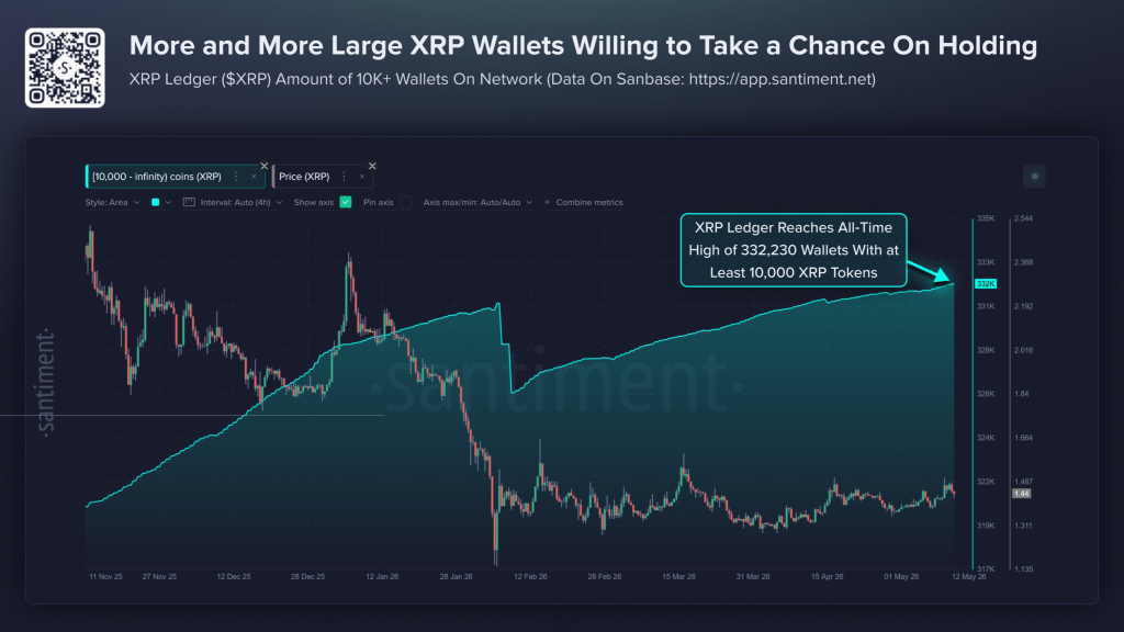 XRP持仓创新高但价格滞涨？链上数据揭示真实动向