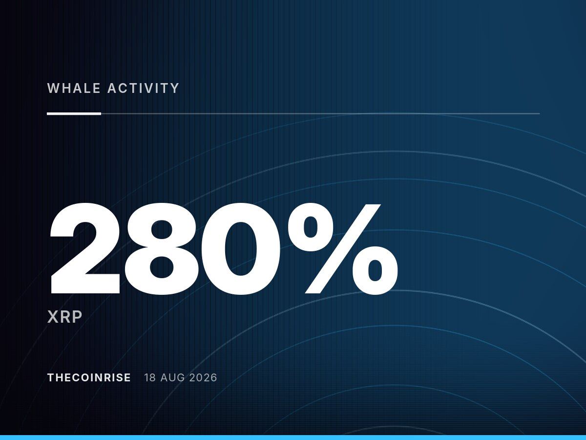 XRP巨鲸活动飙升280% 1美元支撑位稳如磐石