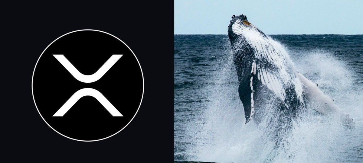 XRP鲸鱼持仓飙升，价格却持续承压