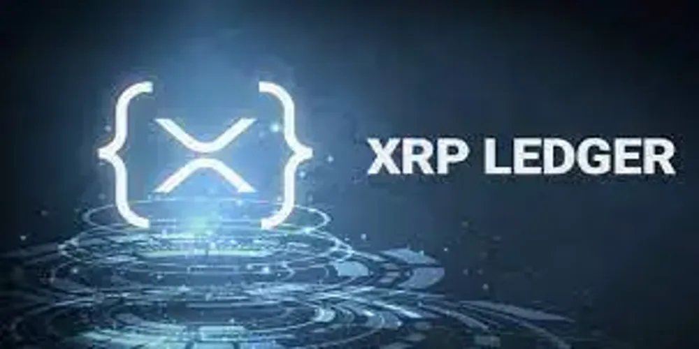 XRPL生态爆发：稳定币暴涨256%，XRP却跌19.9%