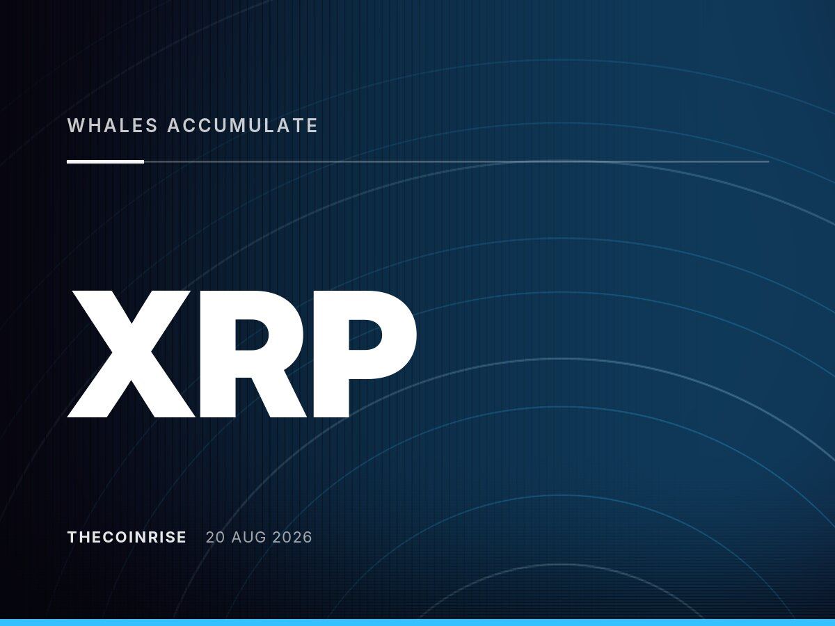 XRP突破盘整区，巨鲸加仓引数据分歧