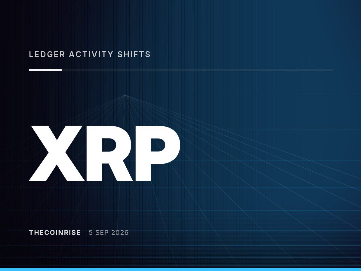 XRP链活跃度重构：用户减少但交易价值飙升