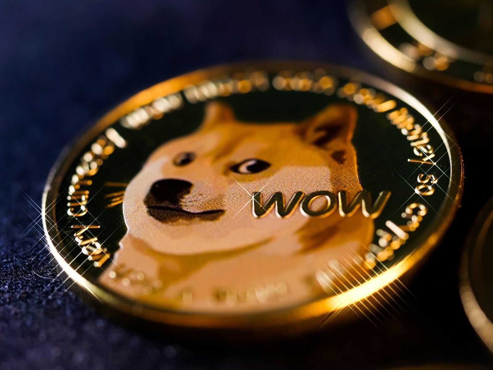Bitwise狗狗币ETF不足一年清盘，72万净资产将退还