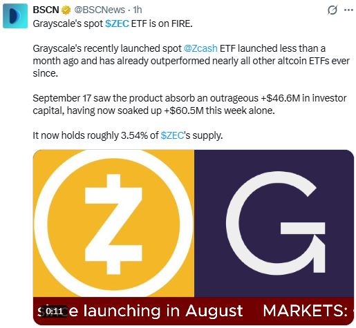Zcash回调背后：机构吸筹加剧，多头仍握主导权