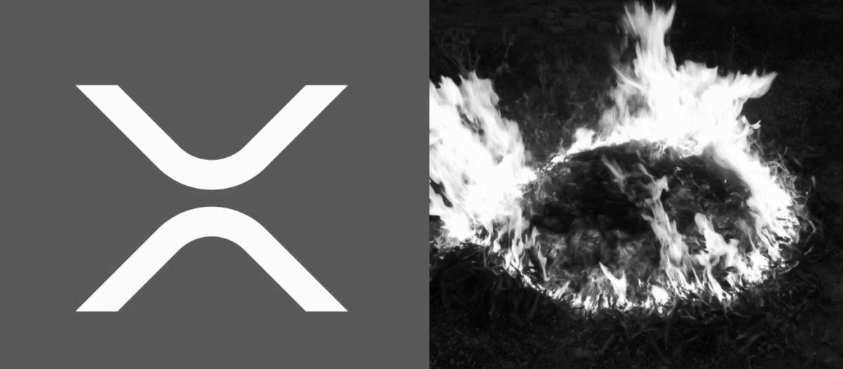 XRP现货ETF月度净流入破1.2亿，机构布局加速