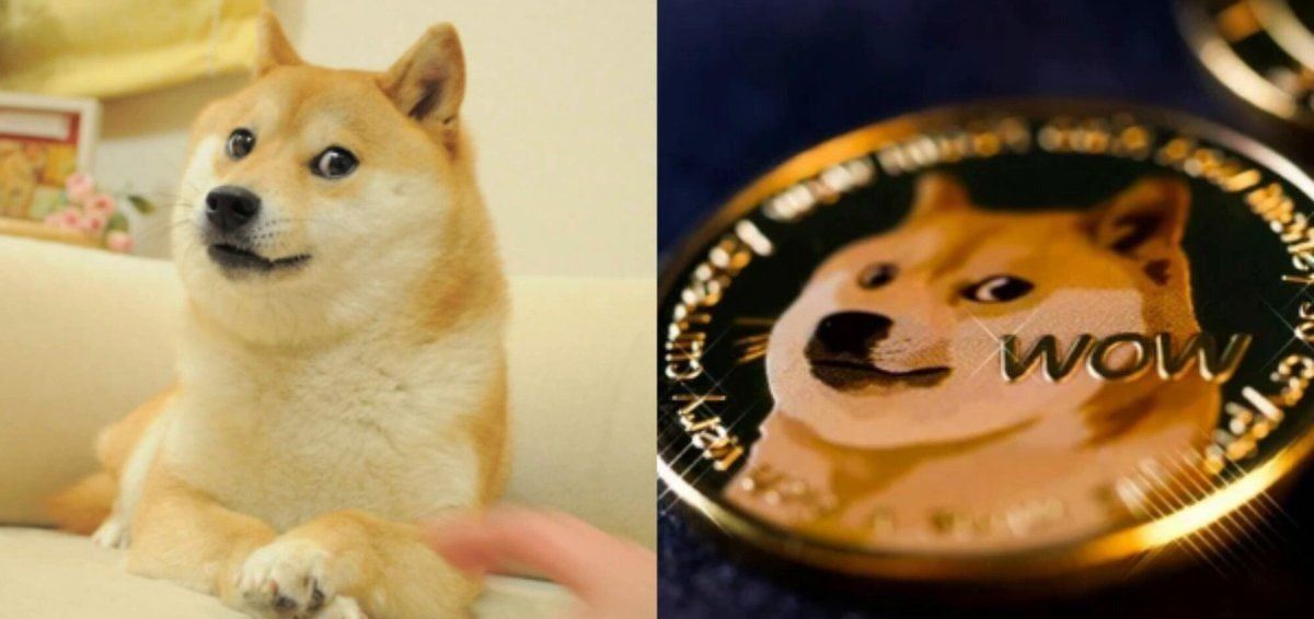 柴犬图腾引爆850亿市值：狗狗币如何从迷因变金融符号