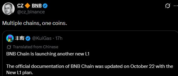 BNB Chain新L1路线图曝光：多链一币战略落地