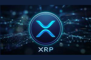 Ripple CEO视频释放利好信号，XRP投资者情绪显著升温